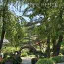 양주카페 카페 헤세 CAFE HESSE 베이커리카페 인기카페 총정리 위치 주차 메뉴