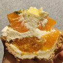 [성수카페] 서울숲 애견동반 타르트 맛집 &#39;섬타르 서울숲&#39;