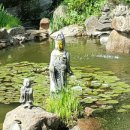 사자약품 이미지