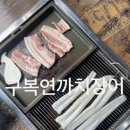 까치장어