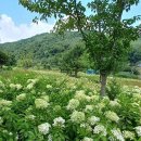 금강생태마당 이미지