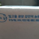 빛고을 광양 자연의 농부 강언덕 농원 자연산 두릅 너무 신선하고 상품 최고에요.