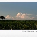 안성시립중앙도서관 전시실 이미지