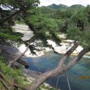 위천수승대 이미지