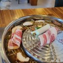 더 담다(The 담다) 이미지