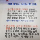 선장우체국 이미지