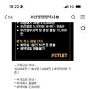 부산펫렛펫택시 이미지