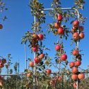 영산목장 이미지