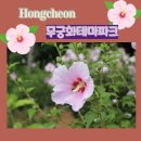 무궁화주차장 이미지