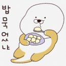 인스타염 Daum카페