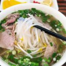 보금장 | 깔끔한 현지의 맛! 베트남 하노이 쌀국수, 퍼깐｜신설동 맛집 내돈내산 후기