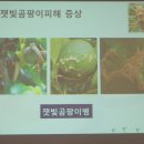 한국삼공 주식회사