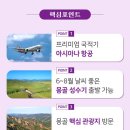 카카오앤티 이미지