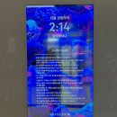 속초여행코스 뮤지엄엑스 실내 이색데이트 가볼만한곳 올데이 속초패스 할인
