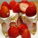 신세계농장(1) | 서울 딸기 케이크 맛집 시즈니크 강남 신세계 스위트파크점 후기