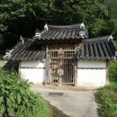 남원 진기리 느티나무 이미지