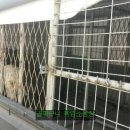 홍천염소농장 이미지