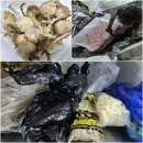 5985 | 진공포장기 추천 냉장고정리 깔끔하게 푸드세이버 VS5985