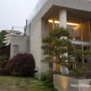 ADAMAS(아다마스)253 이미지