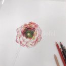 예쁜 꽃그리기(보테니컬아트) 이미지