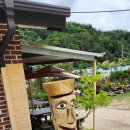 둥지농장 이미지