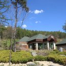 하이원C.C골프연습장 이미지