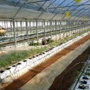 말미농장 이미지