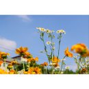 (주)지니웍스 | [6월 기록] 괜찮아. 작은 것에도 행복할 수 있다는 걸 배웠으니까.