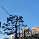 (주)가인상사 동탄점 | [연극] 260128 국립극단 <셋톱박스> 보러 간 날