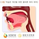 와 너네 다 혀 위치 입천장에있니???? 이미지