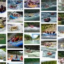 (주)안중관광여행사 이미지