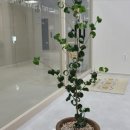 수오재학원
