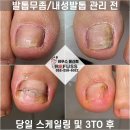 레푸스 울산점 이미지