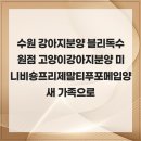 블리독수원점 고양이강아지분양 미니비숑프리제말티푸포메입양 | 수원 강아지분양 블리독수원점 고양이강아지분양 미니비숑프리제말티푸포메입양 새 가족으로
