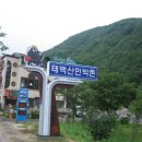 H7305 이미지