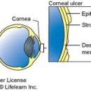 강앤정 동물병원 이미지
