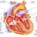 바디엔지니어스짐 이미지