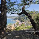 사촌보건진료소 이미지