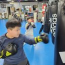 더쎈복싱GYM 이미지