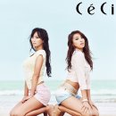 19 이미지