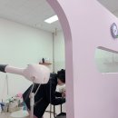 꽃개하우스 이미지