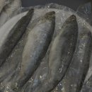 동대구수산 이미지