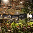 강남-289 이미지