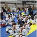 경희대박사 참태권도장 네이버블로그