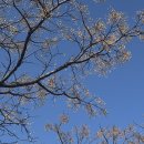 애월리경로당 이미지