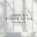 고양이의 휴가 경기광주점 이미지