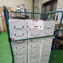 초심농장 | 김천 딸기 학교급식 납품 후기 &amp;단체주문 4차까지 이어진 이유