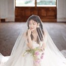 베라컴퍼니 네이버블로그