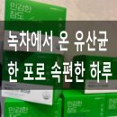 녹차에서 온 유산균 온 가족 속 편하게 하루 시작 아모레퍼시픽 유산균 솔직후기