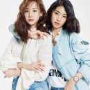 다솜